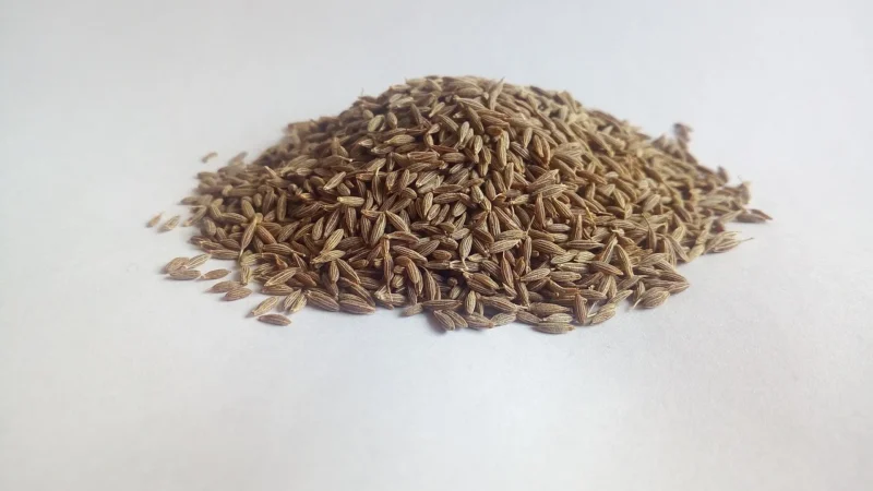 Sto Smaków Kmin rzymski ziarno 100g