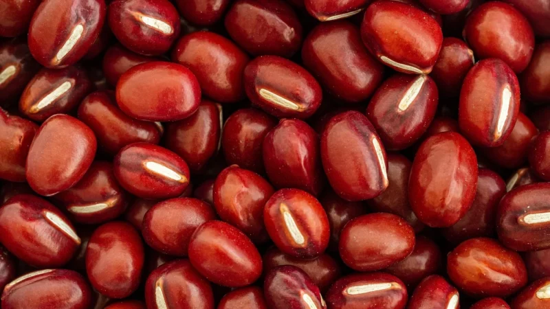 Swojska Piwniczka Fasolka Adzuki 1Kg