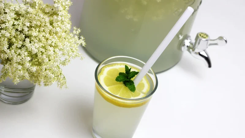 Syrop Czarny Bez (55% soku) 250ml Oleofrm jakość