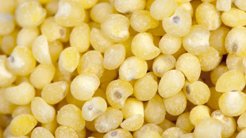 SysFoods WakeUp Jaglanka promienna Jabłko, Morela, Migdały, Nagietek 180g