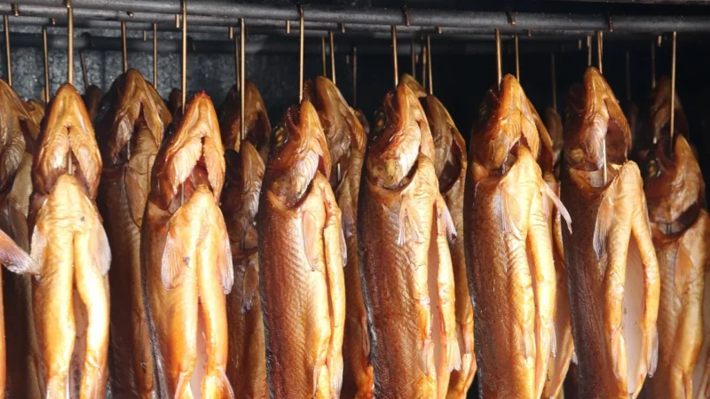 Szproty, szprotki wędzone w oleju, omega 3, Łotwa