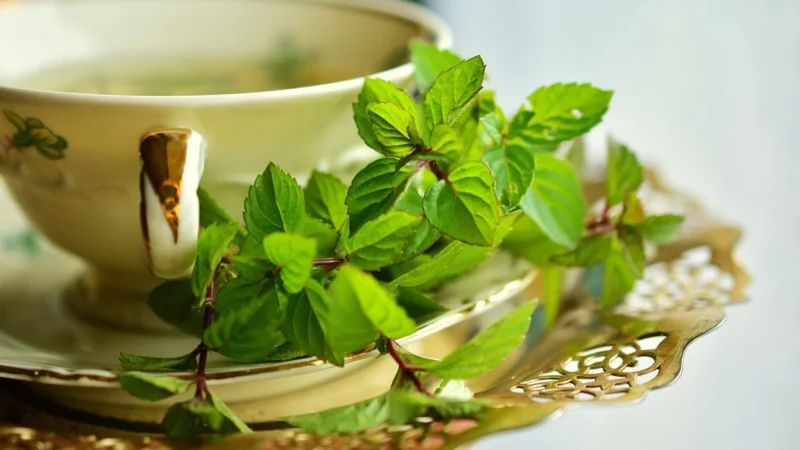 Teabag Ziołowa Herbata Queen Of Mint 50g – Zielona Tuba