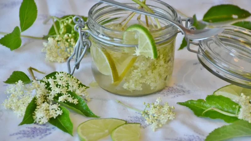 Teisseire Syrop
