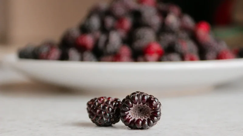 Tic Tac Berry MIX jagoda malina 24 szt Nowość !!!