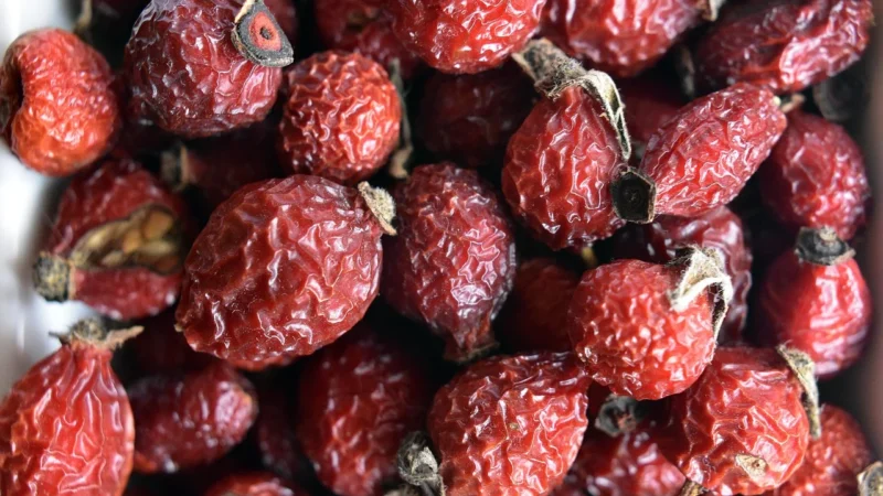 Vitafarm Jabłko Wiśnia Jeżyna Żurawina Liofilizowany Zestaw