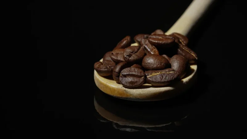 Woseba Kawa mielona Mocca Fix Gold 500g