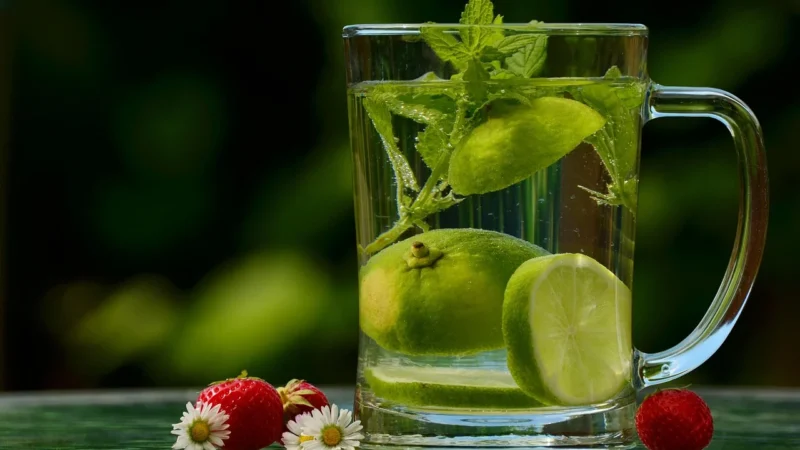 Yerba mate klasyczne z dodatkami malina mięta 100g