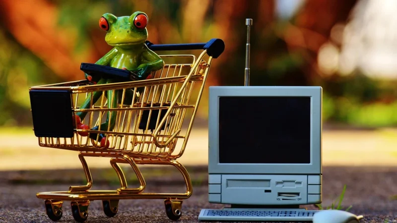 Zakupy online dla domu i biura: Makaron bezglutenowy, chrzan tarty i olej Castrol 5W30